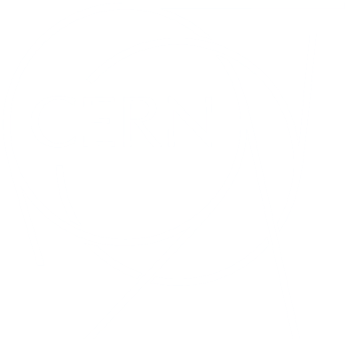 CERN Logo